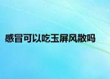 感冒可以吃玉屏风散吗