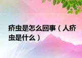 疥虫是怎么回事（人疥虫是什么）