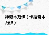 神奇木乃伊（卡拉奇木乃伊）