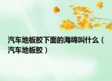 汽车地板胶下面的海绵叫什么（汽车地板胶）