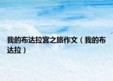 我的布达拉宫之旅作文（我的布达拉）