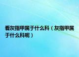 看灰指甲属于什么科（灰指甲属于什么科呢）