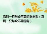 马利一只与众不同的狗电影（马利一只与众不同的狗）