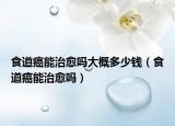 食道癌能治愈吗大概多少钱（食道癌能治愈吗）