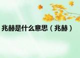 兆赫是什么意思（兆赫）