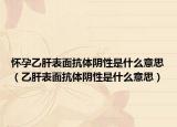 怀孕乙肝表面抗体阴性是什么意思（乙肝表面抗体阴性是什么意思）