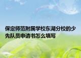保定师范附属学校东湖分校的少先队员申请书怎么填写