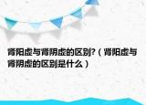 肾阳虚与肾阴虚的区别?（肾阳虚与肾阴虚的区别是什么）