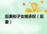后妻和子女继承权（后妻）
