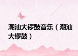 潮汕大锣鼓音乐（潮汕大锣鼓）
