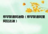 穆罕默德阿迪勒（穆罕默德阿里阿拉达迪）