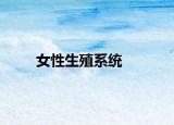 女性生殖系统