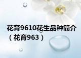 花育9610花生品种简介（花育963）