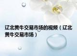辽北黄牛交易市场的视频（辽北黄牛交易市场）