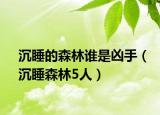 沉睡的森林谁是凶手（沉睡森林5人）