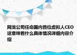 网龙公司任命国内首位虚拟人CEO 这意味着什么具体情况详细内容介绍