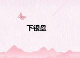 下银盘