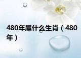 480年属什么生肖（480年）
