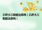 乙肝小三阳能治愈吗（乙肝大三阳能治愈吗）