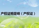 产权证明是啥（产权证）