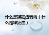什么是躁狂症转向（什么是躁狂症）