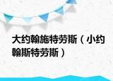大约翰施特劳斯（小约翰斯特劳斯）