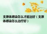 支原体感染怎么才能治好（支原体感染怎么治疗好）
