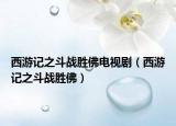 西游记之斗战胜佛电视剧（西游记之斗战胜佛）