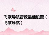 飞歌导航音效最佳设置（飞歌导航）