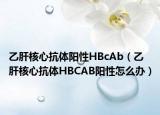 乙肝核心抗体阳性HBcAb（乙肝核心抗体HBCAB阳性怎么办）