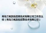 青岛兰帆凯拓信息技术有限公司工作怎么样（青岛兰帆凯拓信息技术有限公司）