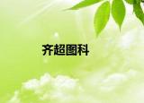 齐超图科