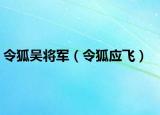 令狐吴将军（令狐应飞）