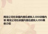 网龙公司任命国内首位虚拟人CEO详细内容 网龙公司任命国内首位虚拟人CEO具体介绍