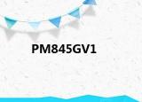 PM845GV1
