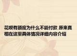 花呗有额度为什么不能付款 原来真相在这里具体情况详细内容介绍