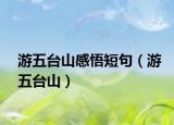 游五台山感悟短句（游五台山）