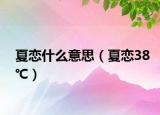 夏恋什么意思（夏恋38℃）