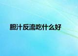 胆汁反流吃什么好