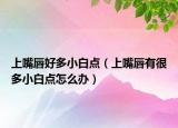 上嘴唇好多小白点（上嘴唇有很多小白点怎么办）