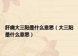 肝病大三阳是什么意思（大三阳是什么意思）