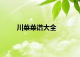 川菜菜谱大全