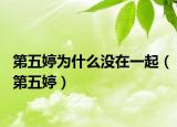 第五婷为什么没在一起（第五婷）