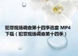 犯罪现场调查第十四季迅雷 MP4 下载（犯罪现场调查第十四季）