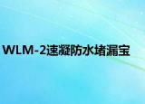 WLM-2速凝防水堵漏宝