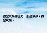 微型气泵的压力一般是多少（微型气泵）