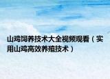 山鸡饲养技术大全视频观看（实用山鸡高效养殖技术）