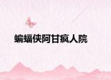 蝙蝠侠阿甘疯人院