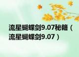 流星蝴蝶剑9.07秘籍（流星蝴蝶剑9.07）