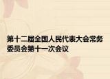 第十二届全国人民代表大会常务委员会第十一次会议